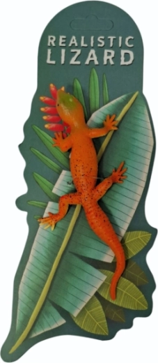 Dieren – kleurveranderende hagedis