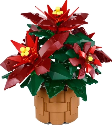 Gedetailleerde poinsettia Grande Italia in een gevlochten bloempot