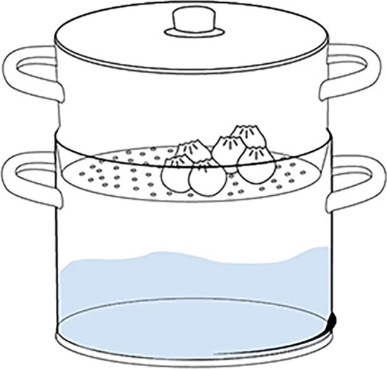 Gezond stomen voor elke dag