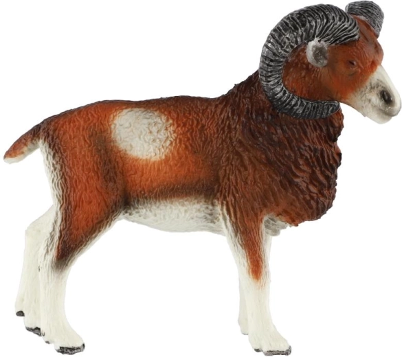 Kenmerkende krachtige hoorns