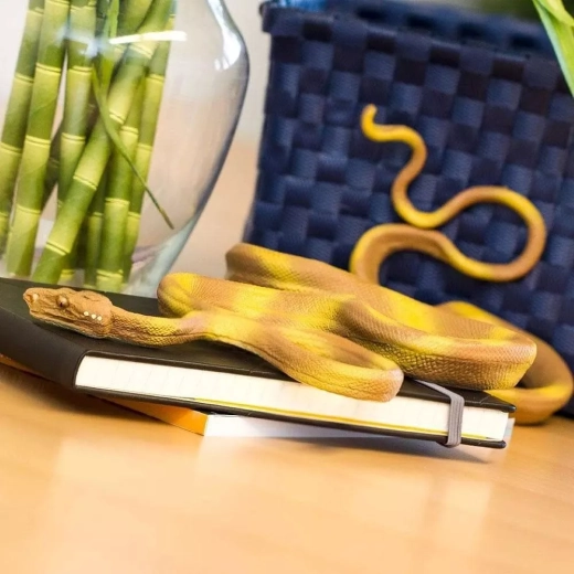 Lang lichaam voor natuurlijke positionering