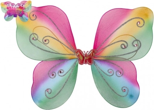 Kleurige vlindervleugels voor carnaval