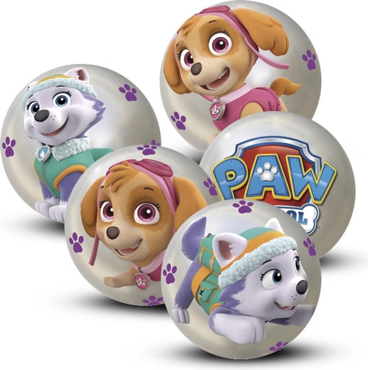 Bal Paw Patrol 10 cm – display 12 stuks