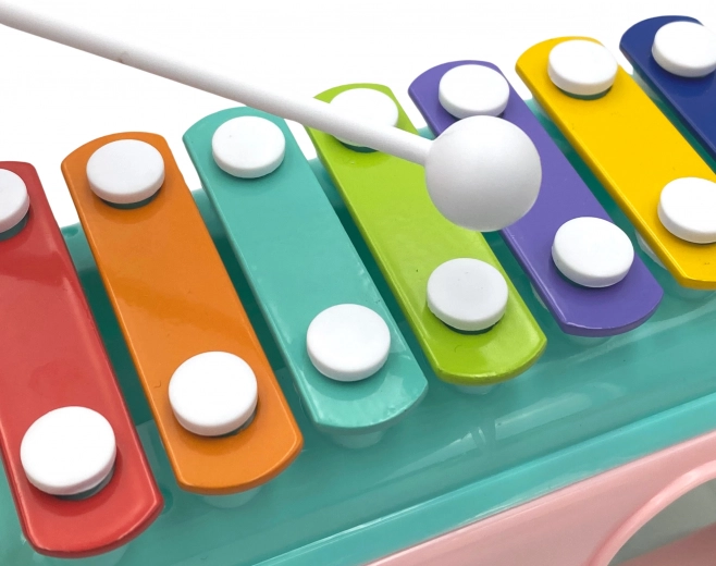 Kleurrijke xylofoon voor kleine muzikanten