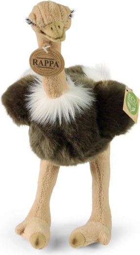 Schattig uiterlijk van de struisvogel
