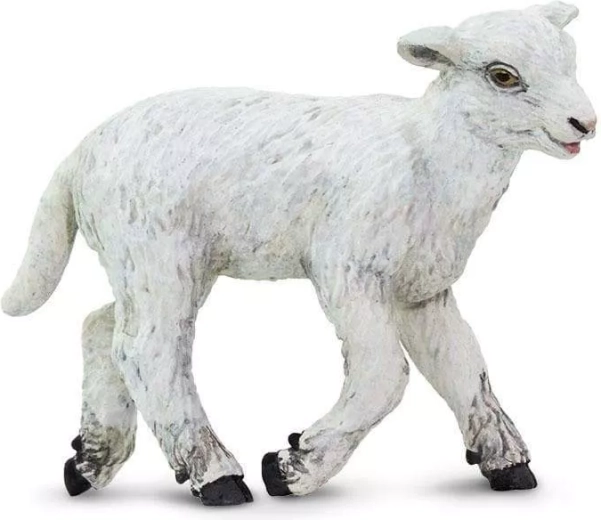 Safari Ltd. figuur van een tamme schaap - 1 stuk
