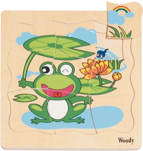 Houten lagenpuzzel Ontwikkeling van de kikker