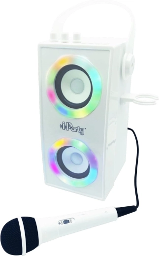 Karaokeplezier met microfoon