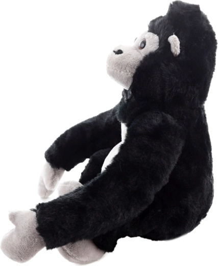 Compact en universeel formaat