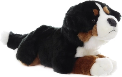 Pluchen Berner Sennenhond 42 cm