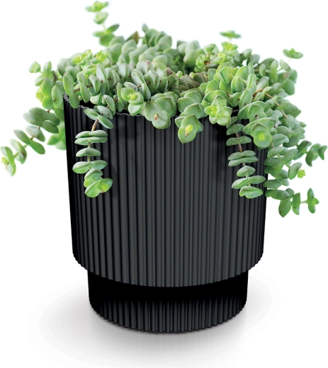 Ideaal voor kruiden en vetplanten