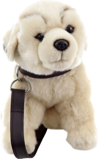 Speel het uitlaten na dankzij halsband en riem