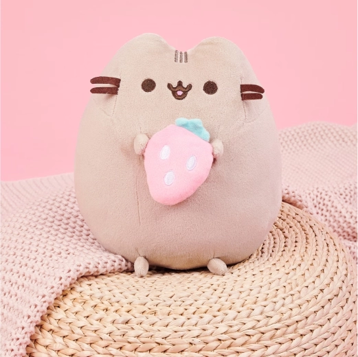 Pusheen met een schattige aardbei