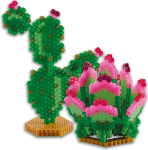 3D-effect voor indrukwekkende cactussen en vetplanten