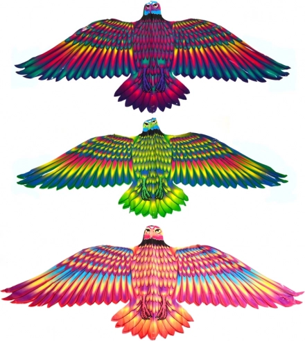 vliegerende arend 132 × 60 cm