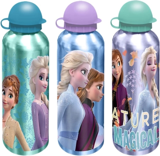 Populair Disney Frozen-design