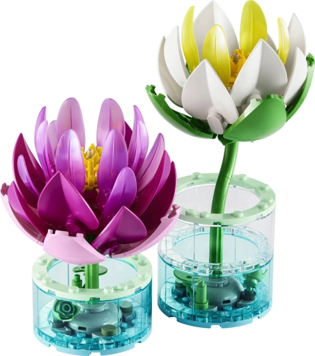 Twee waterlelies om te bouwen