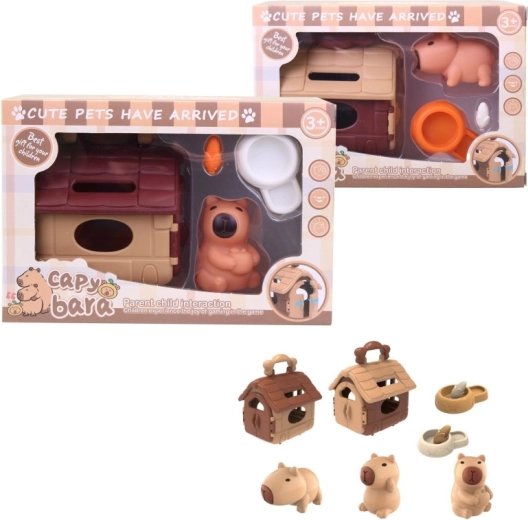 Capibara met accessoires