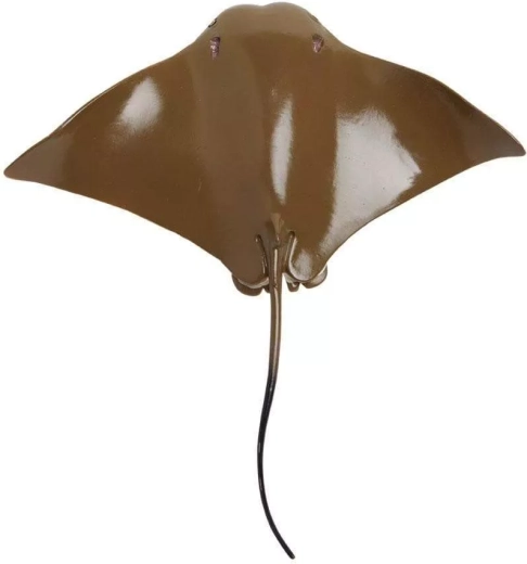 Ideale grootte voor een kinderhand en voor de verzameling