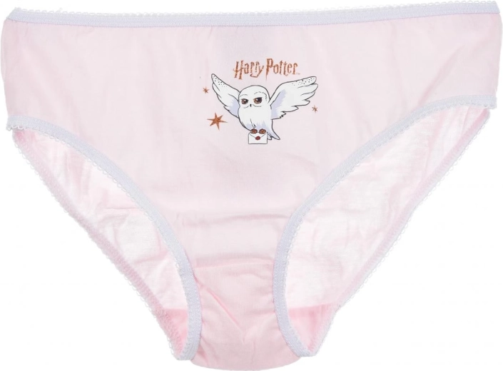 Gelicentieerd Harry Potter-motief