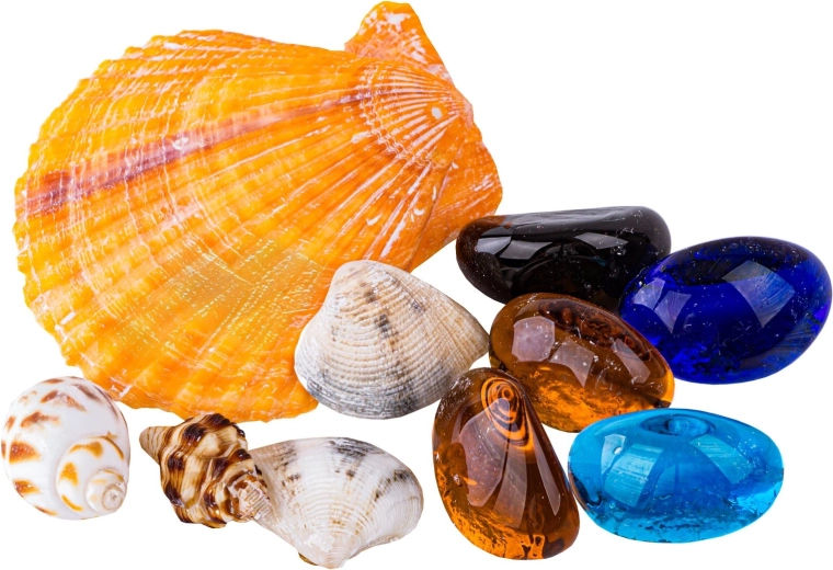 Schatten binnenin: steentjes en schelpjes