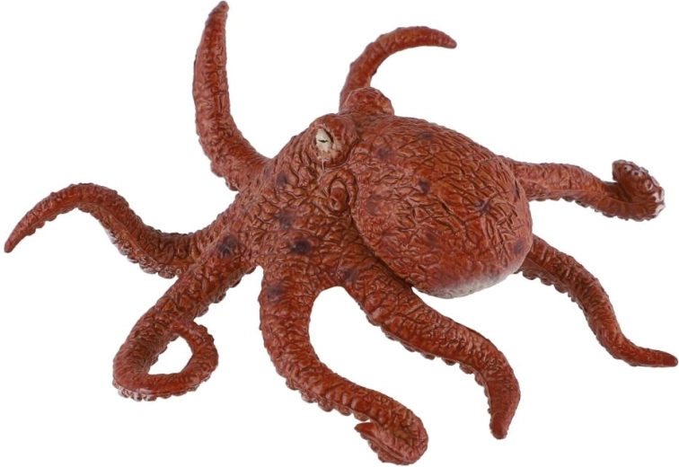 Realistisch uiterlijk van de octopus