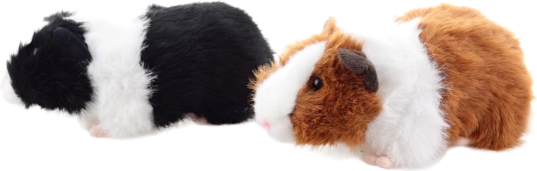 Compact formaat voor onderweg en in het bedje