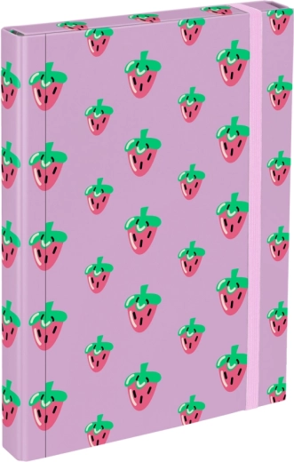 Mappen voor schoolschriften A4 Lavender Baagl