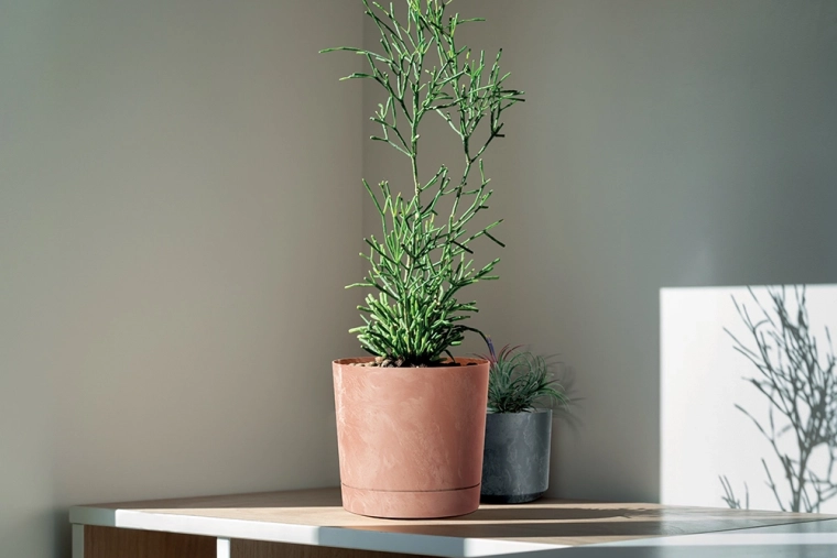 Stijlvol accent voor moderne en traditionele interieurs