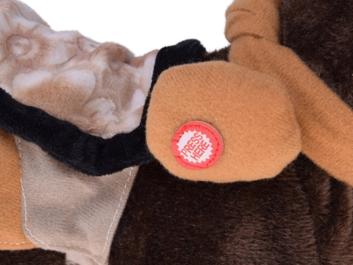 Loopt, hinnikt en danst op country