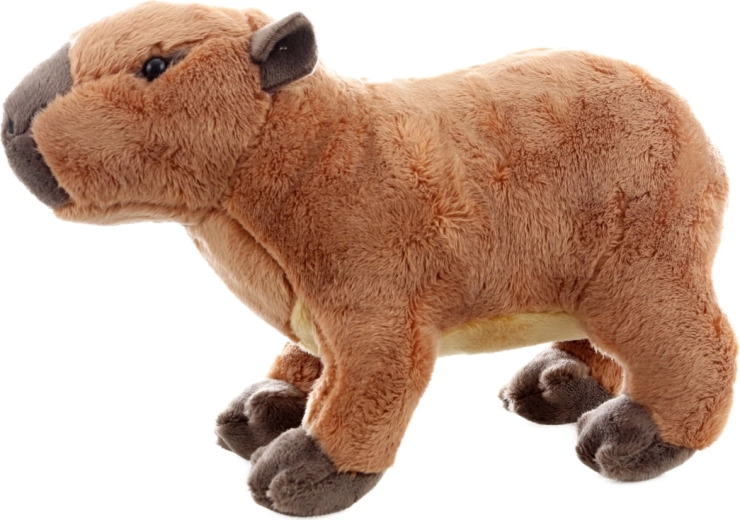 Veilig vanaf de geboorte