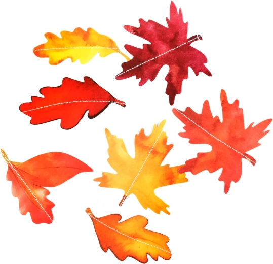 Warme herfsttinten