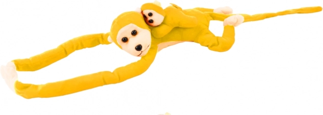 Aapje met jong