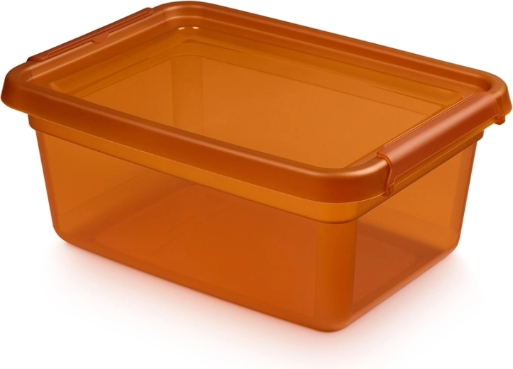 Basestore opbergbox met deksel en clips amber 12,5 l