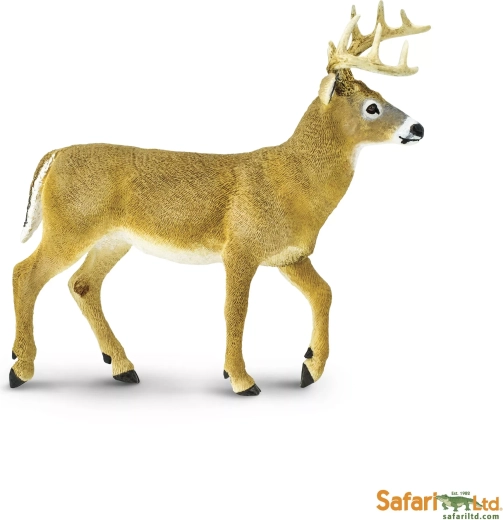 Witstaarthert Safari Ltd.