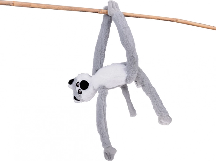 Een lemur die “klimt” en hangt zoals in de natuur