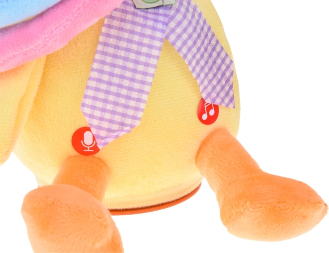 Opnemen en herhalen van stem