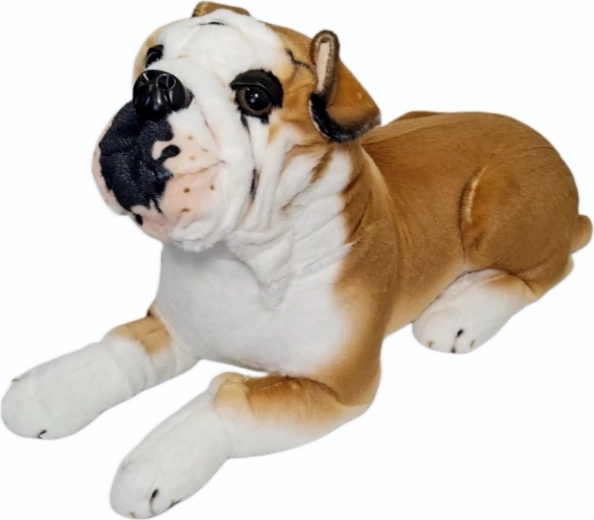 Pluchen bulldog - 1 stuk