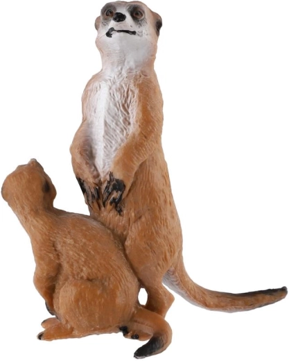 Realistisch meerkattenpaar