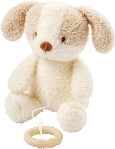 Nattou muzikale pluchen hond Teddy 24 cm