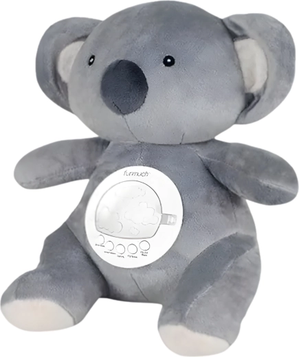 Huilsensor en eenvoudig onderhoud