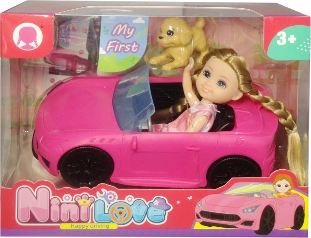 Mini-pop met hondje in cabriolet