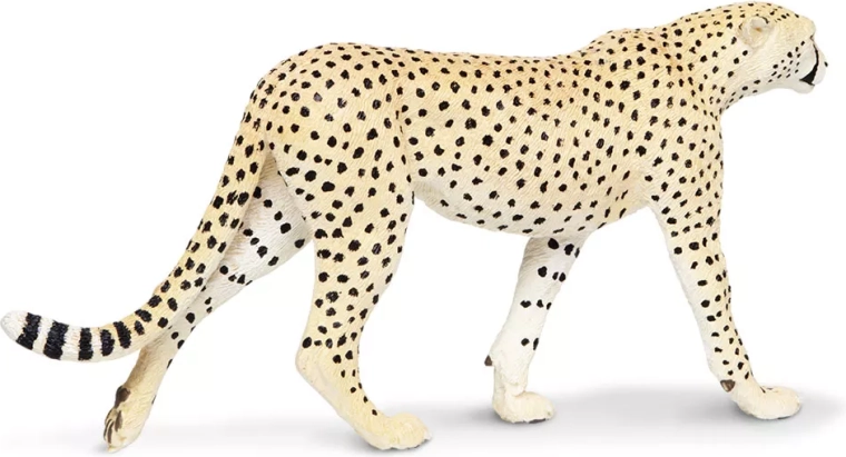 Kwaliteit van het merk Safari Ltd.