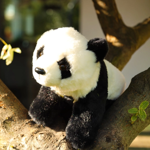 Schattige panda om te knuffelen