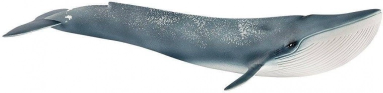 Schleich 14806 Blauwe vinvis