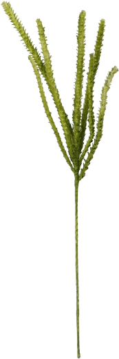 Decoratief gras 107 cm groen