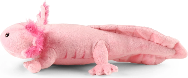 Formaat 34 cm voor kleine en grote knuffelaars