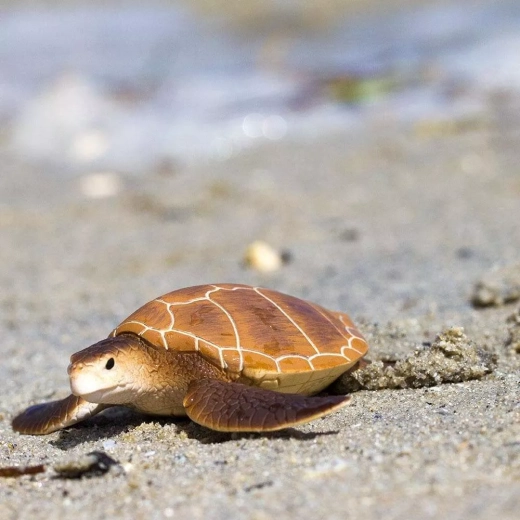 Geweldig om spelenderwijs te leren