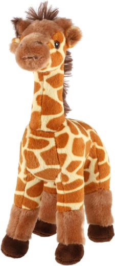 Schattig uiterlijk van de giraf