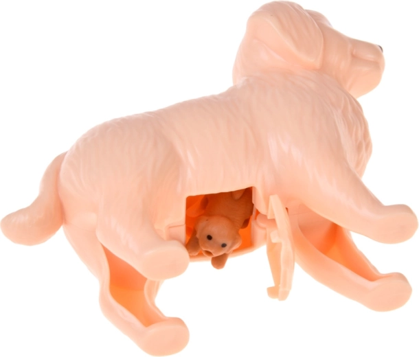 Openslaand buikje voor puppy